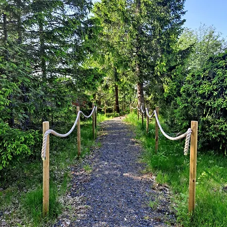 Daire Kultalahti Kalajoki