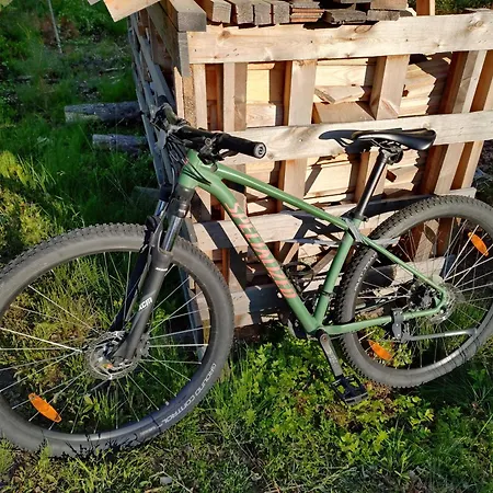 Kultalahti Daire *